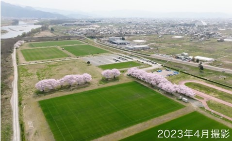 広い芝生のフィールドの周りに桜が咲く様子を空撮したもの