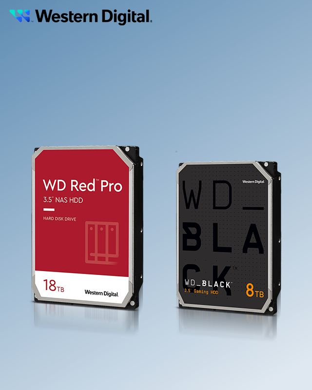 Western Digital (ウェスタンデジタル) 500GB M.2 2280 SATA接続 SSD　新品 : ウエスタンデジタル(Western Digital) WD Blue SATA SSD 内蔵 1TB 2.5インチ  (読取り最大 560MB⁄s 書込み最大 520MB⁄s) PC メーカー保証5年 WDS100T3B0A-EC SA510 国内正規取扱代理店  :
