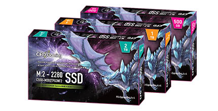 CSSD-M2B5GPG3NF2 | CFD Gaming PG3NF2 シリーズ M.2接続 SSD 500GB