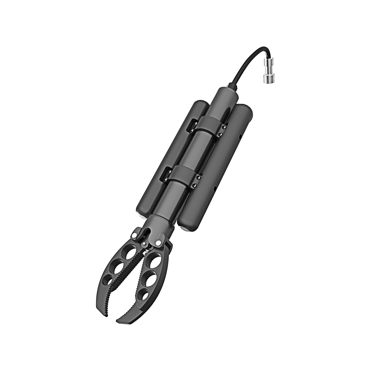 オアシス 極悪スイカ　オートプレイ＋デジタルクレジット image.jpg