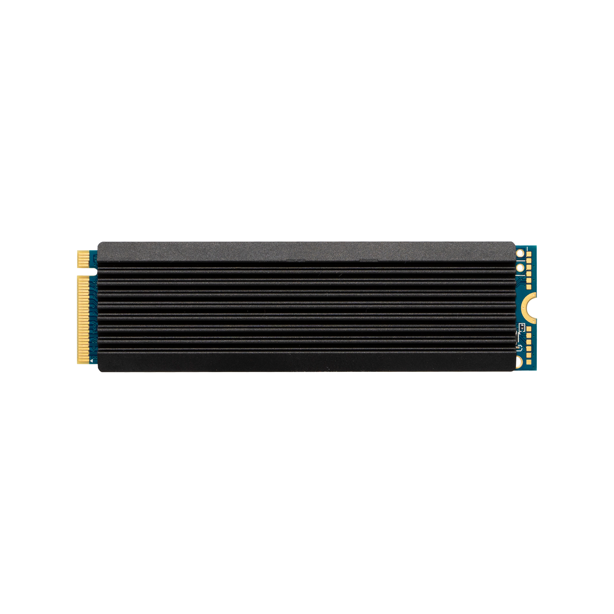 CSSD-M2B01TPG2VN | CFD PG2VN シリーズ M.2接続 SSD (1TB) | CFD販売