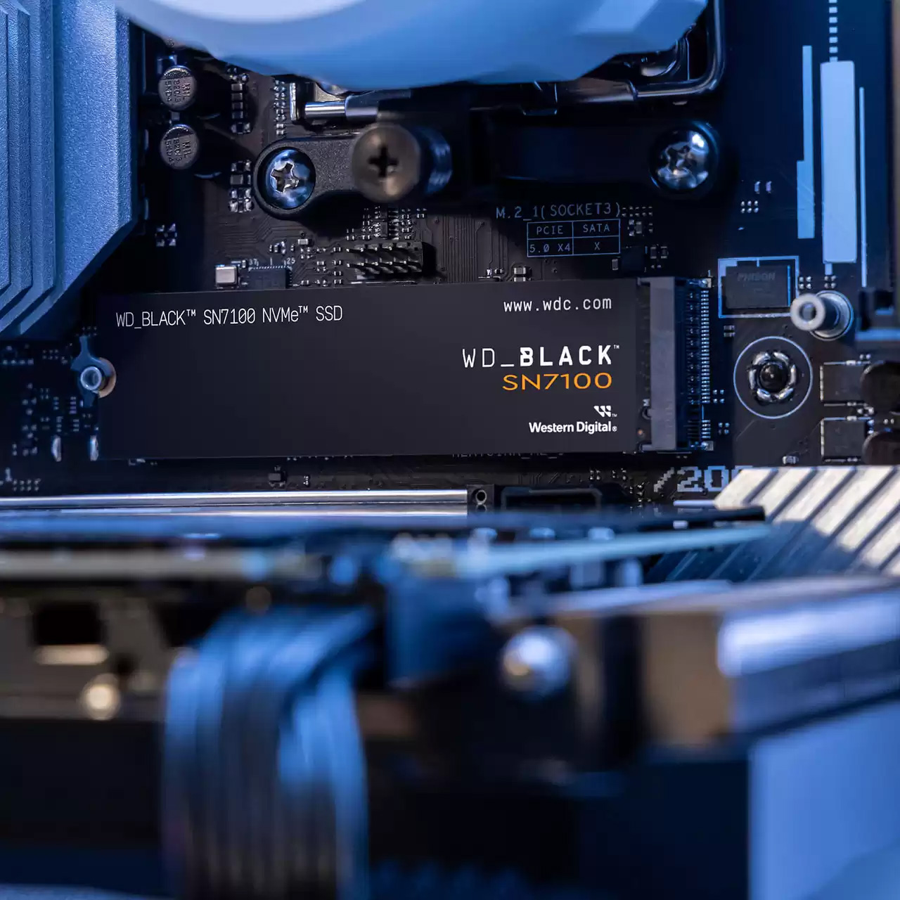WDS200T4X0E | WDS200T4X0E | WesternDigital WD_BLACK SN7100