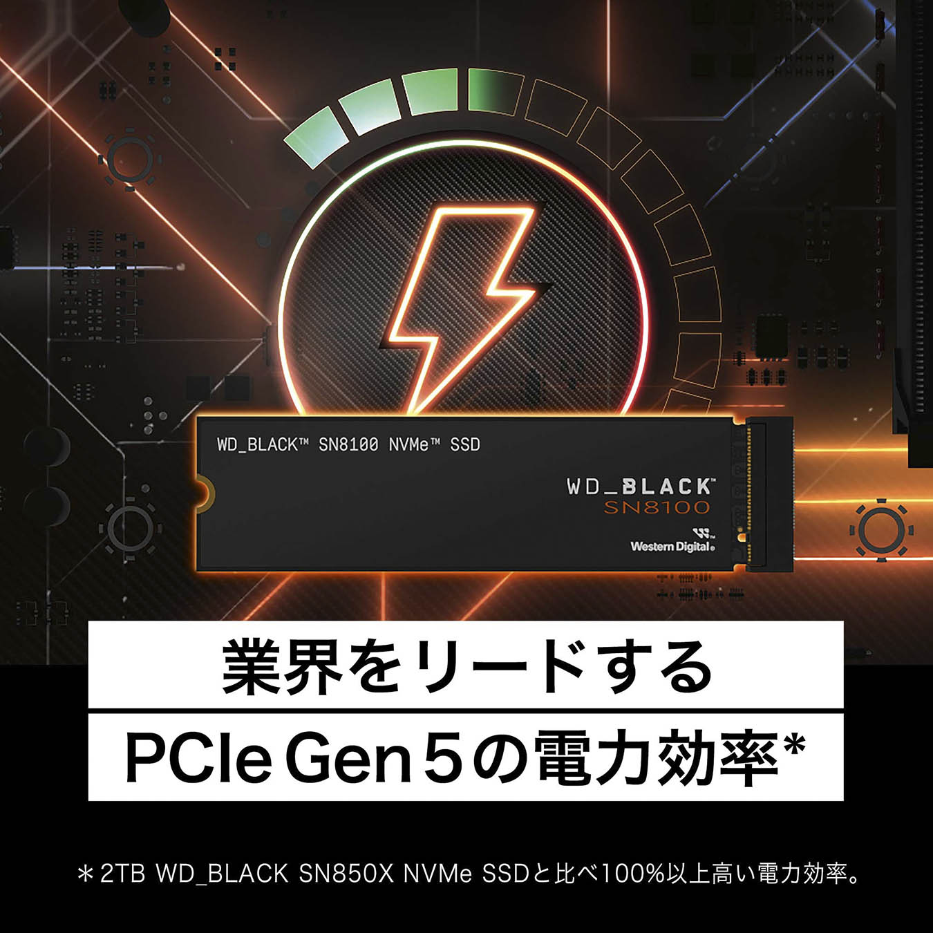 WDS200T1X0M | WDS200T1X0M | Sandisk (サンディスク) WD_BLACK SN8100