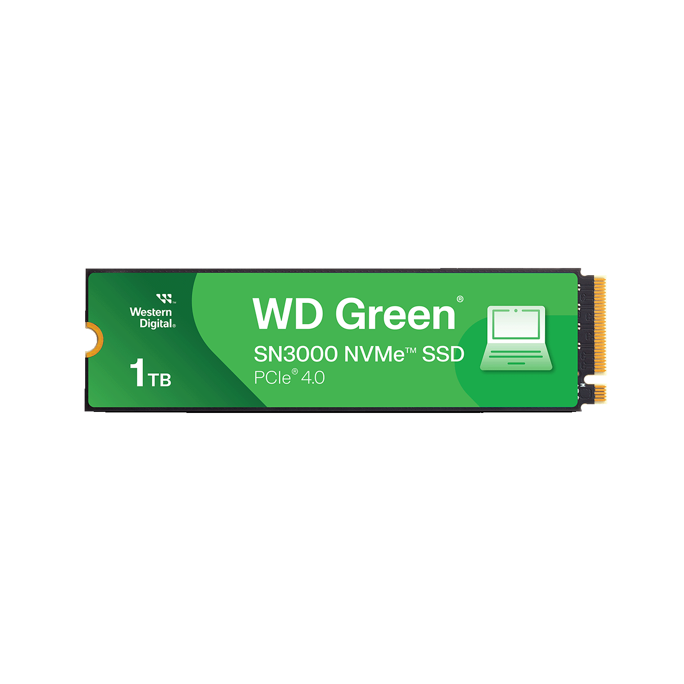 Sandisk  WD Green SN3000 シリーズ エントリーモデル M.2 PCIe Gen4x4 NVMe 接続SSD (1TB)　WDS100T4G0E