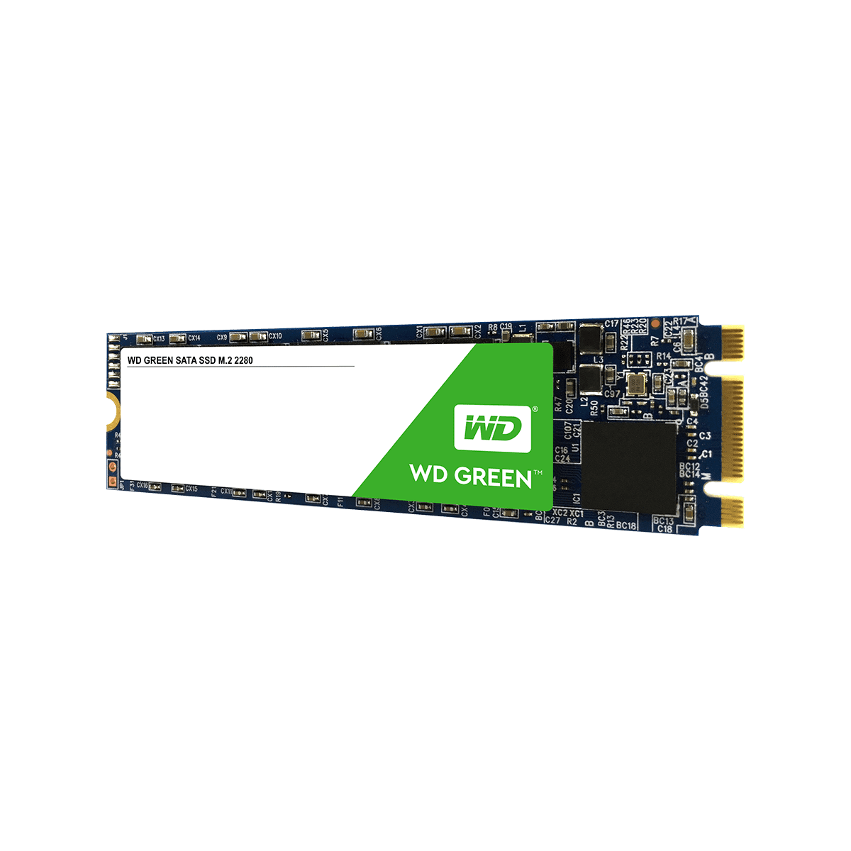 WDS240G2G0B | WesternDigital WD Green エントリーモデル M.2 240GB | CFD販売株式会社 CFD Sales INC.