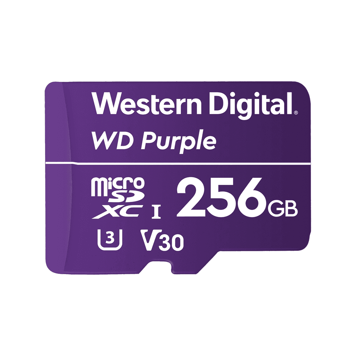 WDD256G1P0A | 【法人専用モデル】WesternDigital Purple microSD