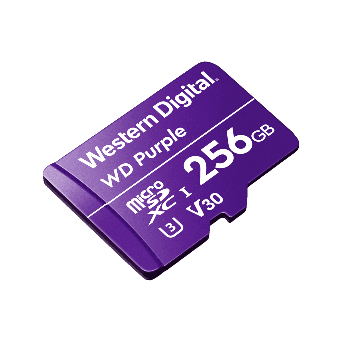 カウベル DCA W11 紫 ライラック – CASWELL-MASSEY®︎